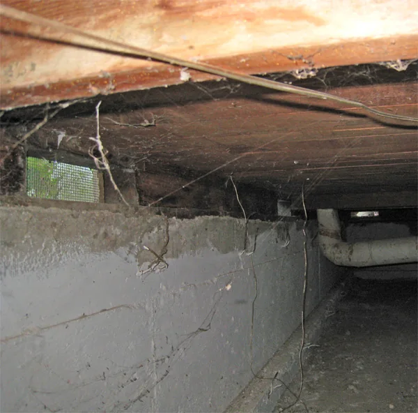 Crawlspace Water Removal in a Huntington Beach home