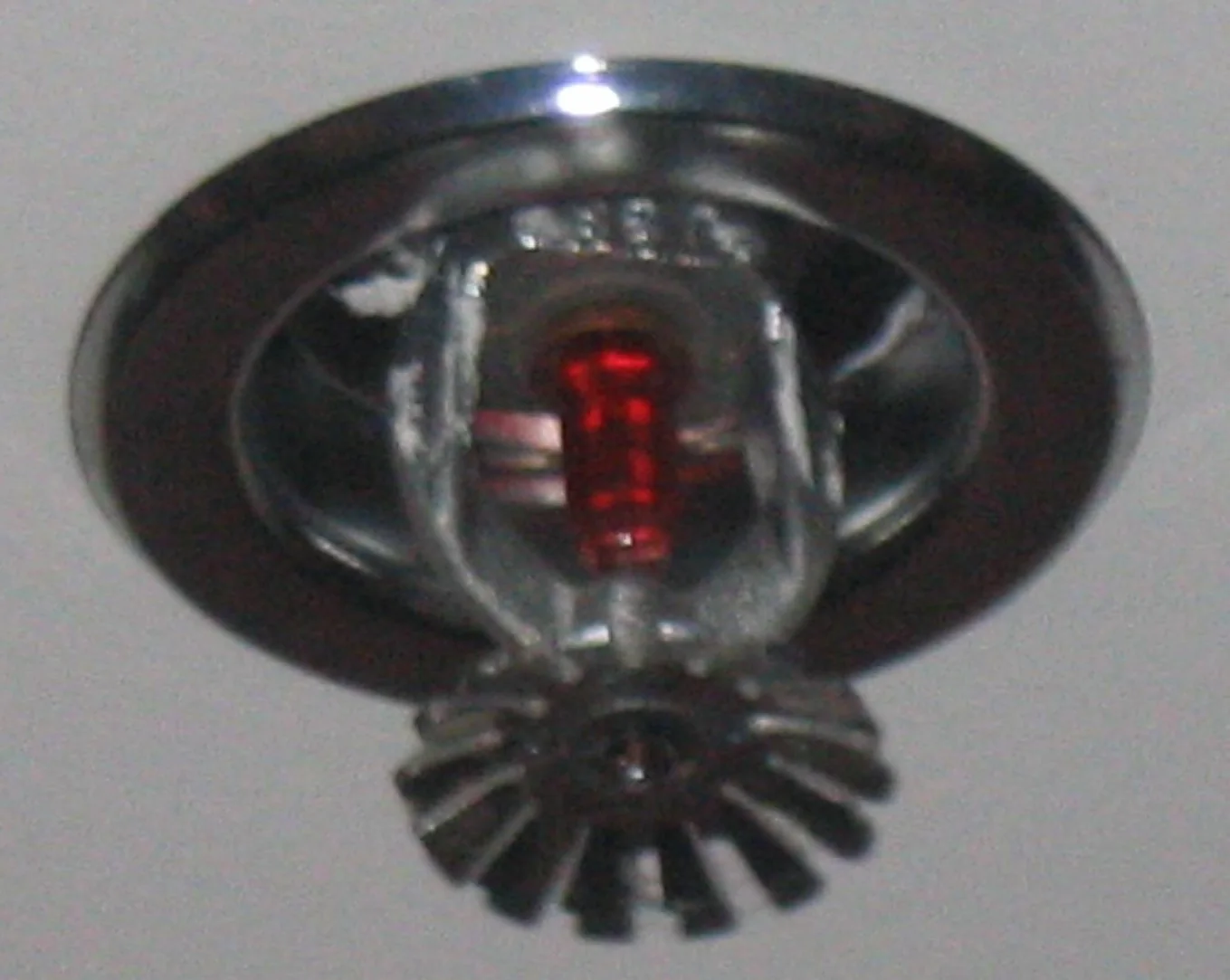 Fire Sprinkler Discharge in a Huntington Beach home